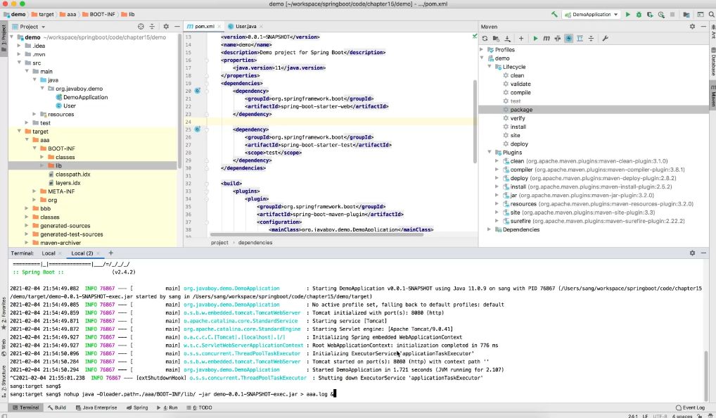 知识星球 Java达摩院（redis+新版 Spring Boot）视频截图