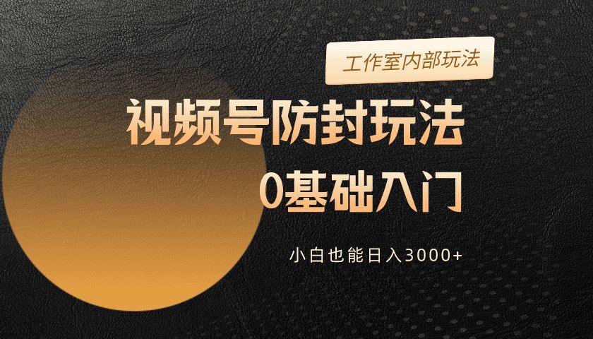 2024网赚课程视频截图